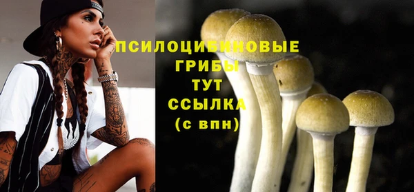 гашик Алзамай