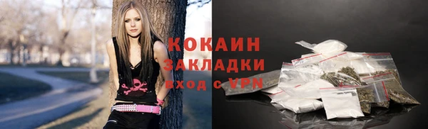 гашик Алзамай