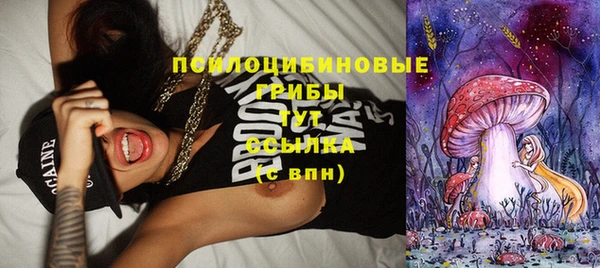 гашик Алзамай