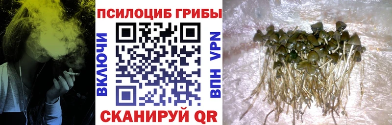 Псилоцибиновые грибы ЛСД  где продают наркотики  Мамоново 